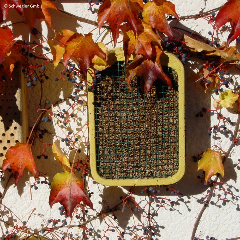 Insektenhotel-Schilf-Holzbeton Insektennistwand Schilf