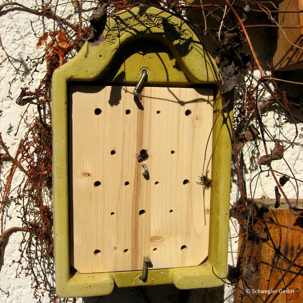 Insektennisthaus Forscher einsehbar