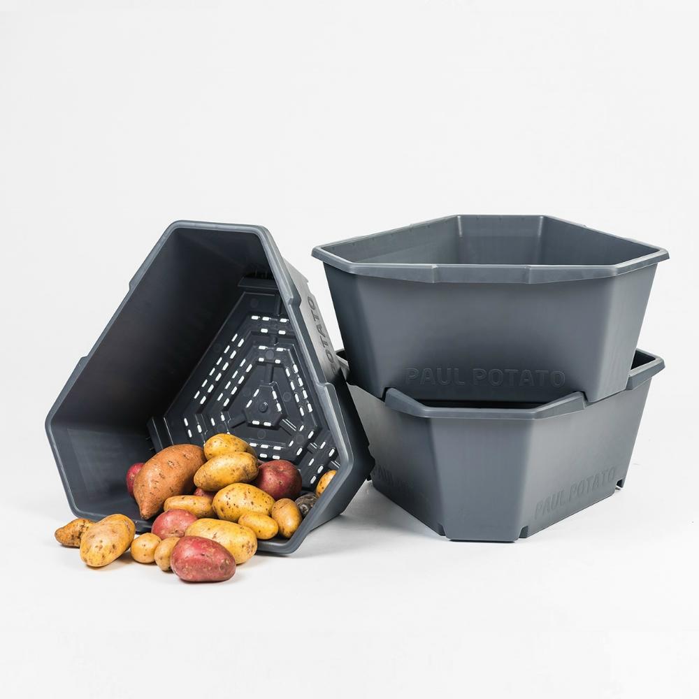 Pflanzturm Paul Potato Kartoffel Starter 3er anthrazit