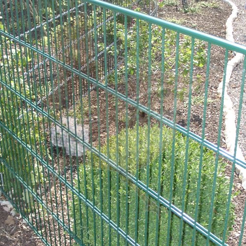 Höhe 1230 mm grün, Gittermatte Uni-Mid CS
