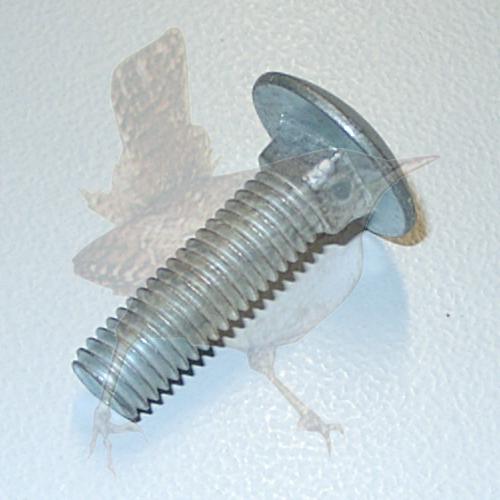 Schlossschraube M10 x 35 mm verzinkt