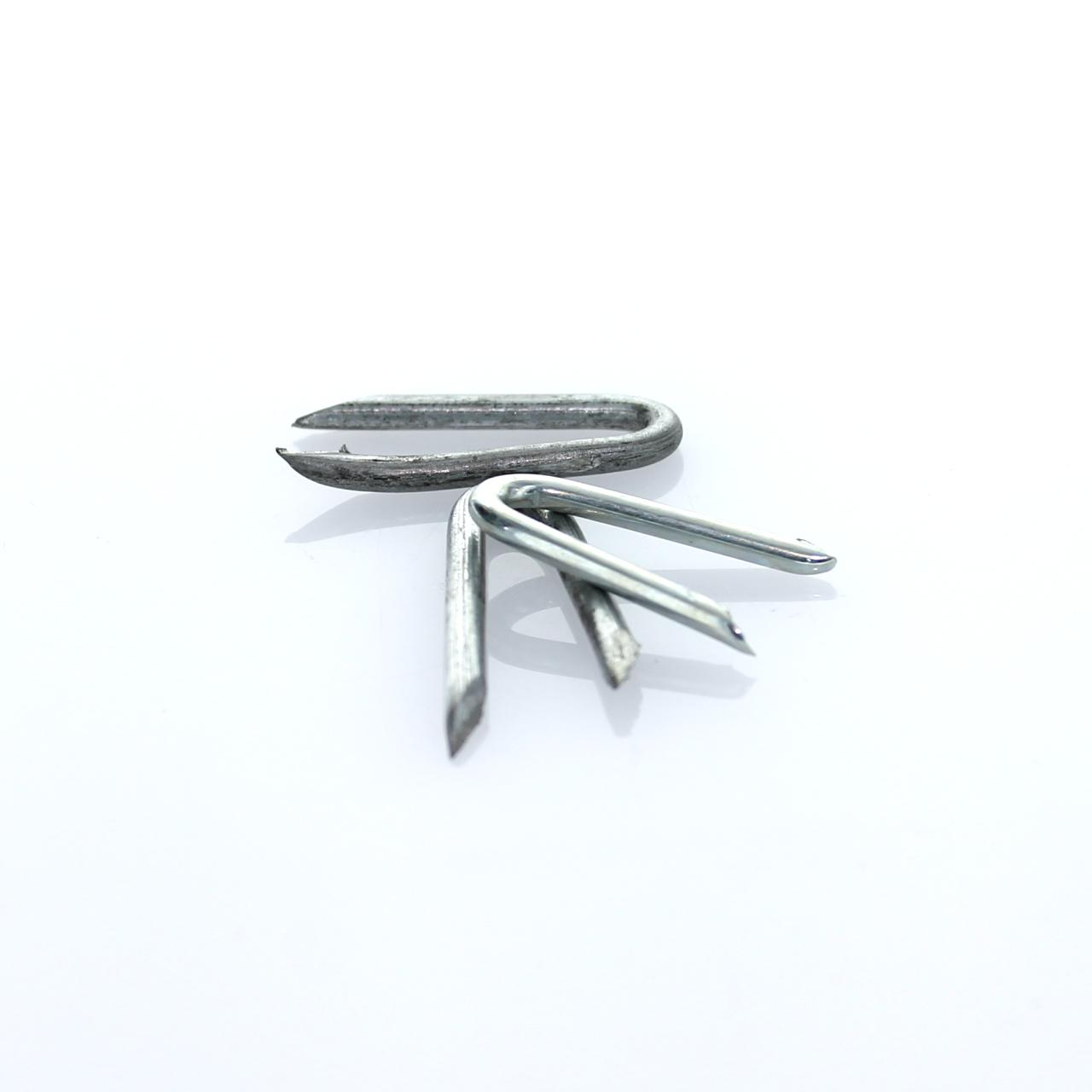Krampen 3,1x31 mm 5,0 Kg in verzinkt