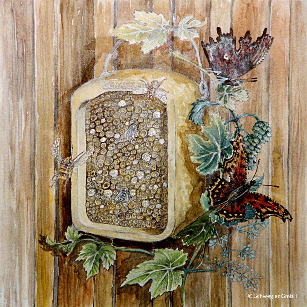 Insektenhotel-Schilf-Kasten Insektennistwand Schilf