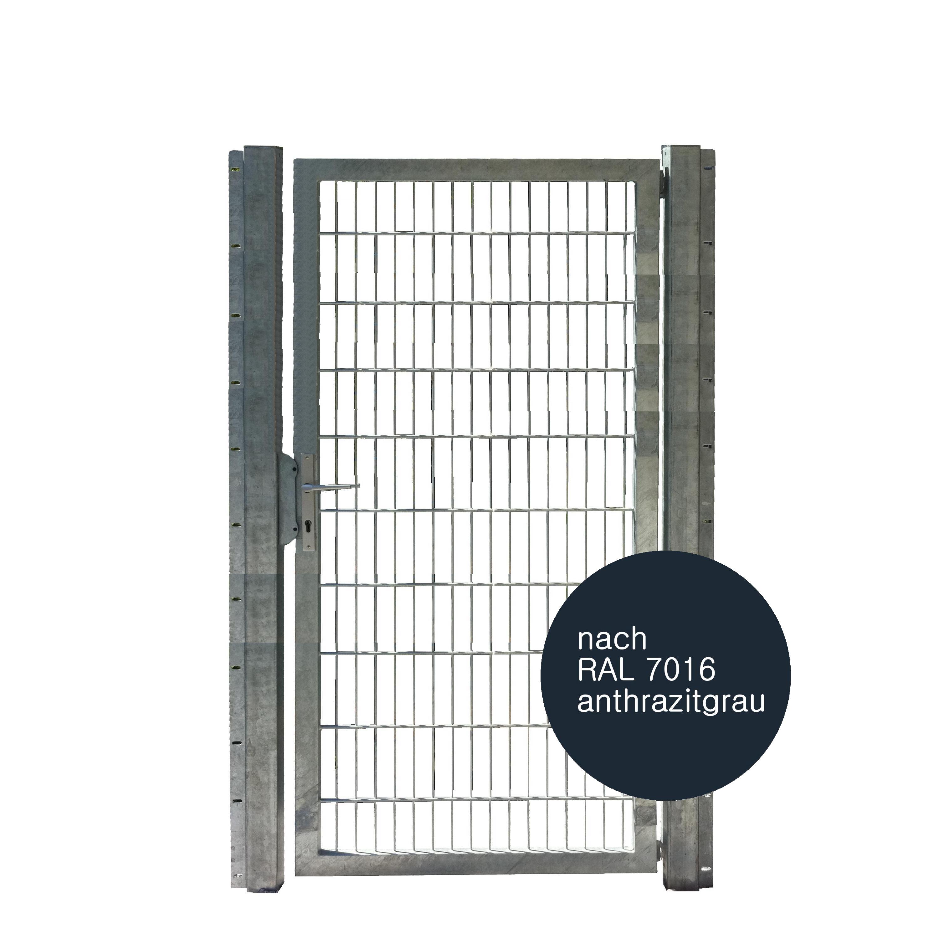Tor 1-flgl. 1000x2000 mm anthrazit, IGT Vario