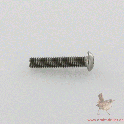 Innensechskantschraube M 08 x 040 mm V2A