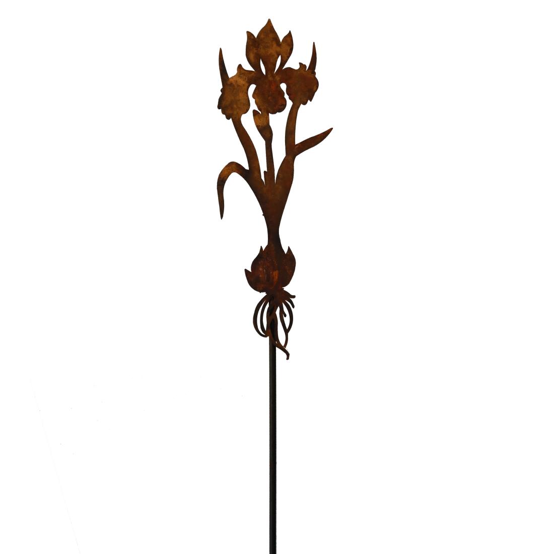 Rost Gartenstab Blume mit Zwiebel Iris