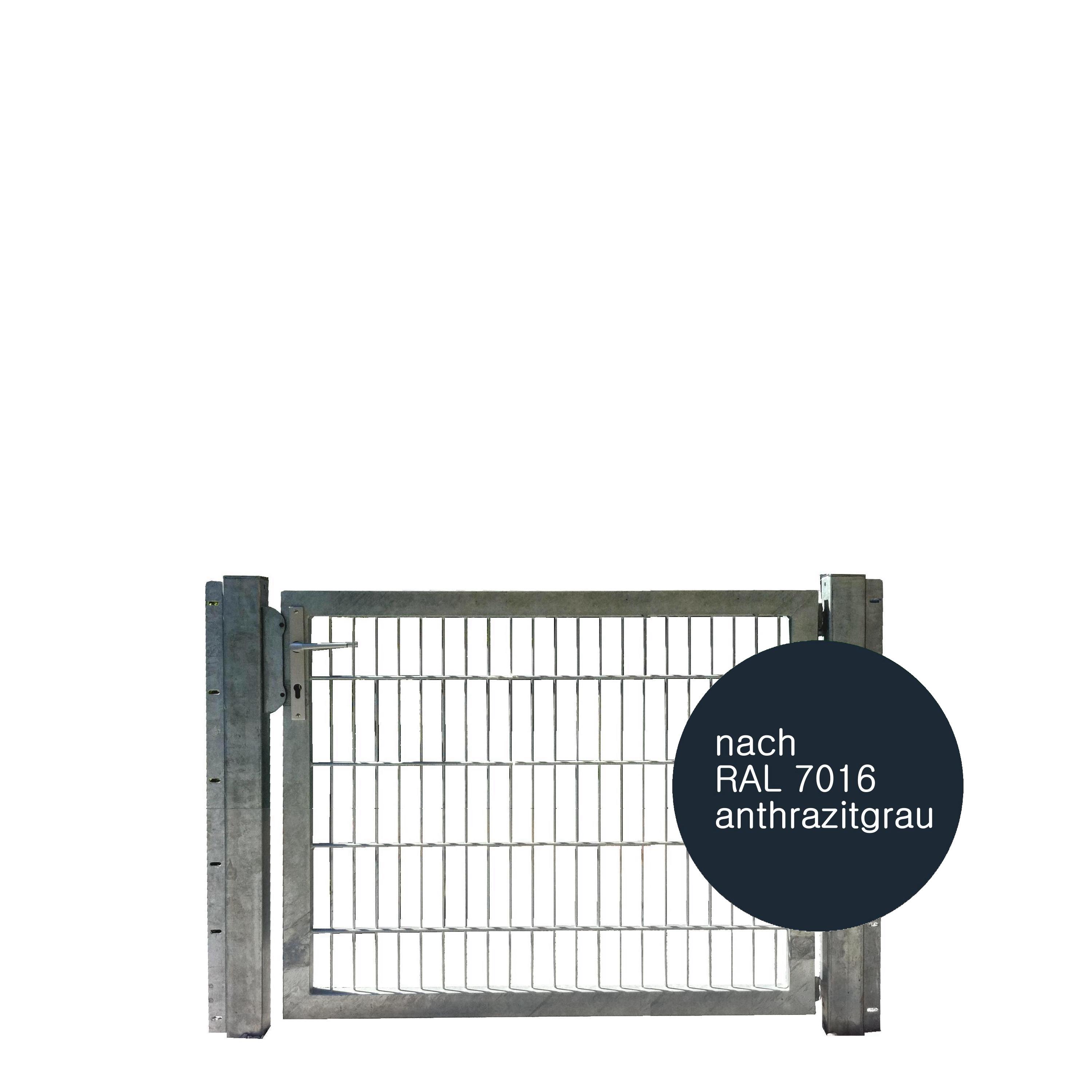 Tor 1-flgl. 1250x1000 mm anthrazit, IGT Vario