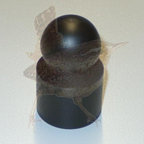 Abdeckkappe Ø 60 mm mit Kugel schwarz Kunststoff