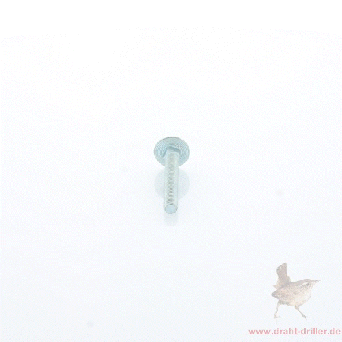 Schlossschraube M06 x 45 mm V2A