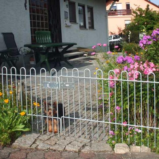 Steckzaun rabbit verzinkt 590 mm Gitter