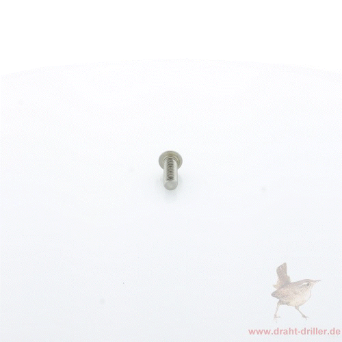 Innensechskantschraube M 08 x 025 mm V2A