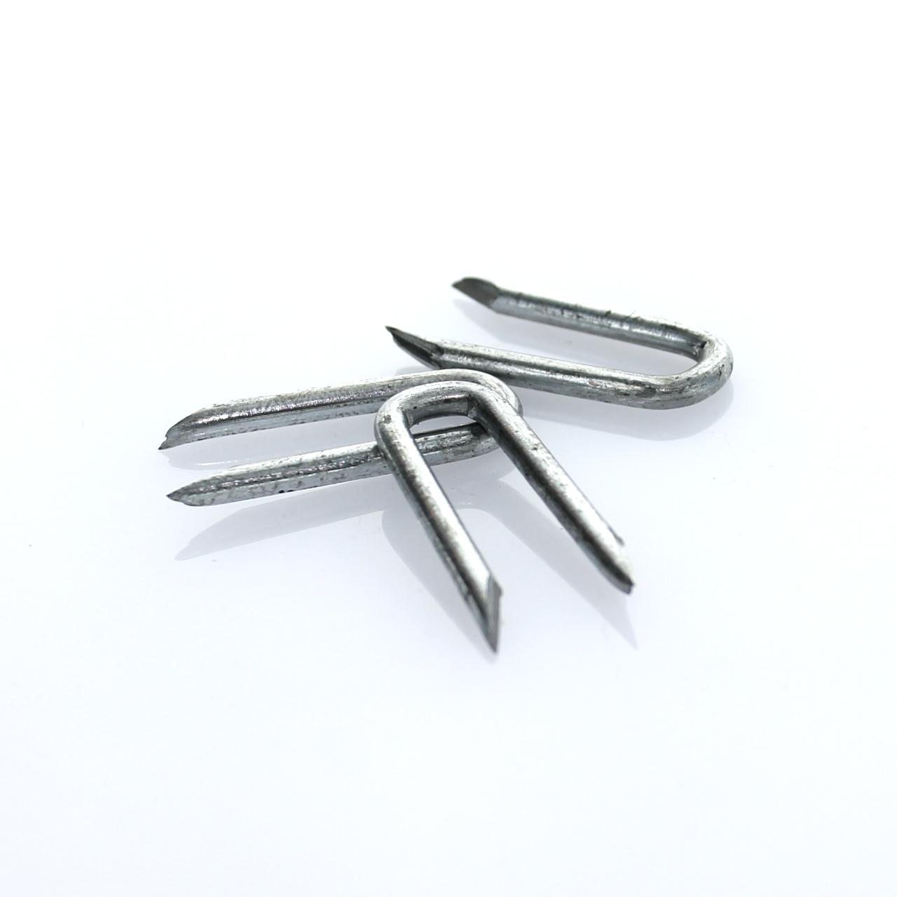 Krampen 3,4x34 mm 5,0 Kg in verzinkt